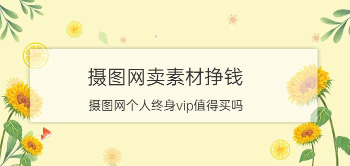 摄图网卖素材挣钱 摄图网个人终身vip值得买吗？